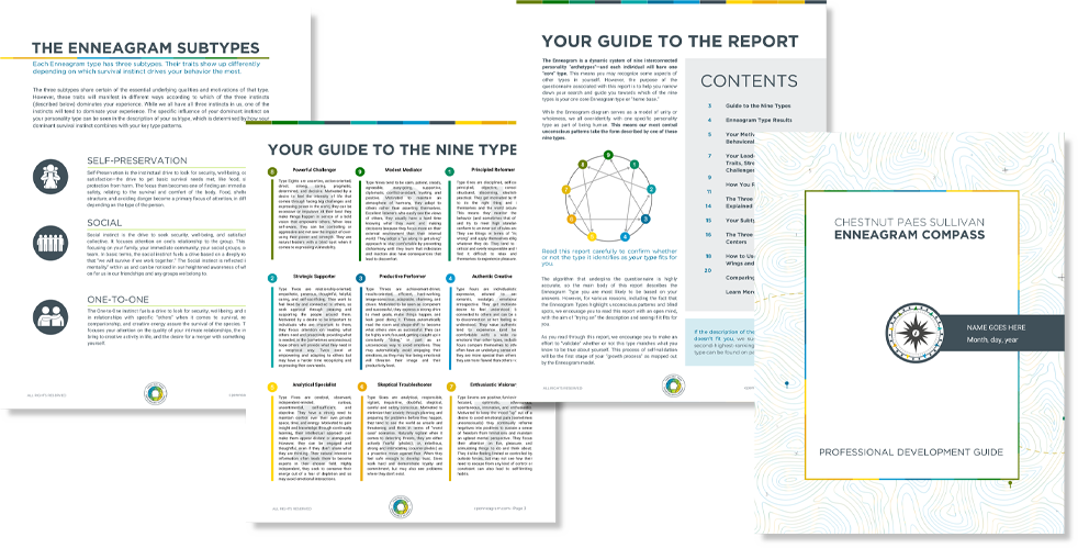 Example report