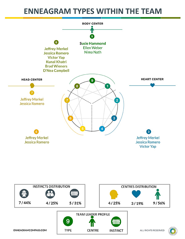 Professional Enneagram Team Distribution Sheet